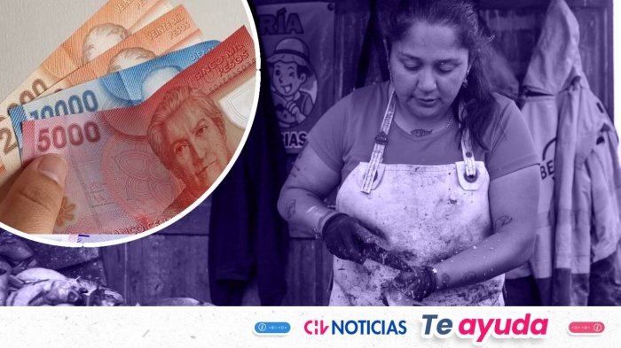 ¿Tienes entre 25 y 60 años? Revisa acá cómo obtener el Bono al Trabajo de la Mujer 2026