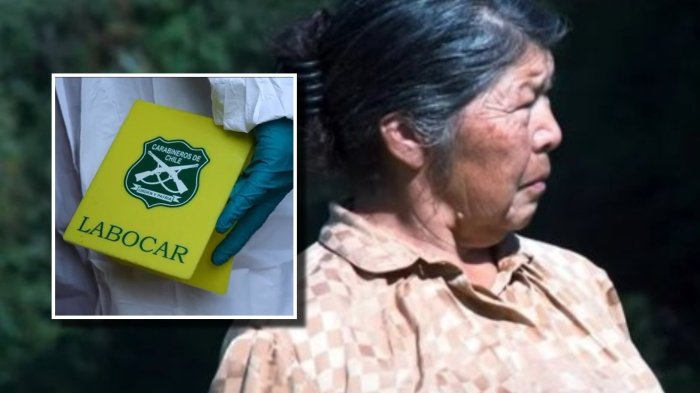 ¿De qué delitos acusan a los hijos y exyerno de Julia Chuñil? Defensa pidió declarar ilegales las detenciones