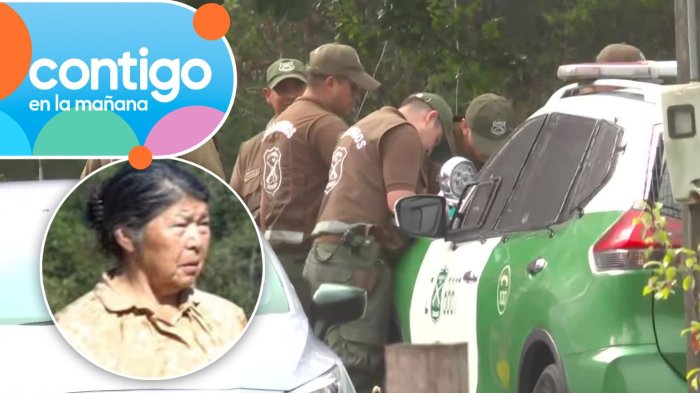 “Llamó inmediatamente la atención”: El testimonio de exyerno de Julia Chuñil que fue clave en la búsqueda