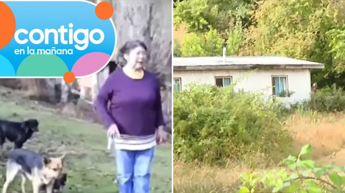 Un perro extraviado y un candado manipulado: Las pistas que dejó la desaparición de Julia Chuñil