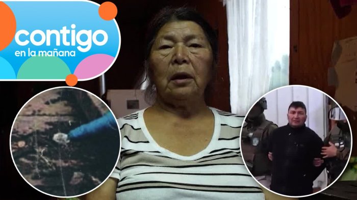 Restos biológicos y extrañas escuchas telefónicas: Las pruebas que inculpan a los hijos de Julia Chuñil