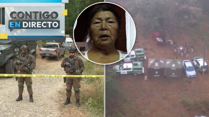 Intento de robo que terminó en crimen: Así habrían actuado los hijos de Julia Chuñil