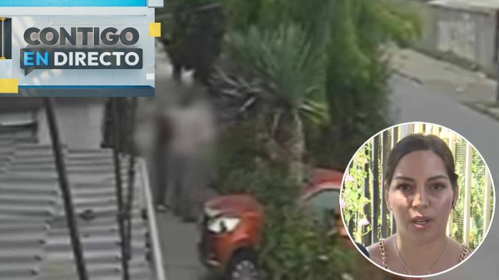 Adulta mayor y su hija fueron agredidas por vecino por hoja de aloe vera: “Quería golpearme en el suelo”