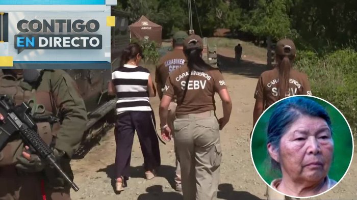 “Boscoso y denso”: Fiscal Esquivel reveló en qué sector se intensifica la búsqueda de Julia Chuñil