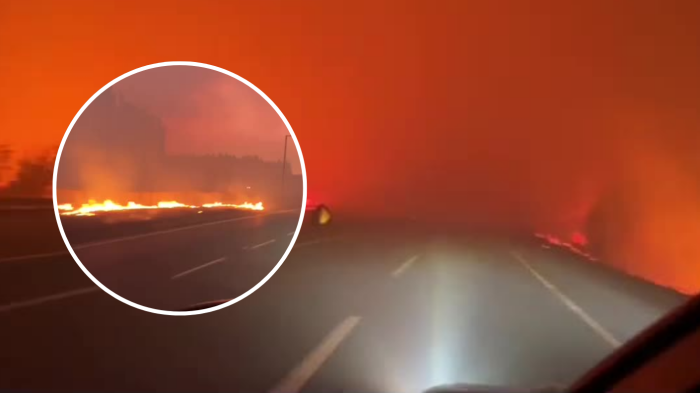 VIDEO | Captan la ruta del Itata siendo consumida por incendio forestal que afecta al Biobío