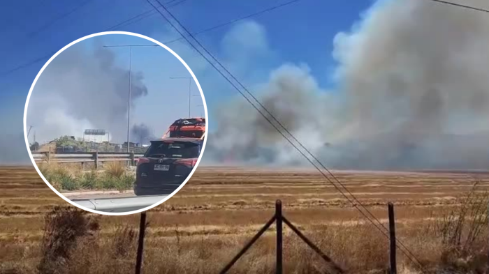 Senapred declara alerta roja por incendio forestal en San Fernando: “Amenaza inminente a carretera”