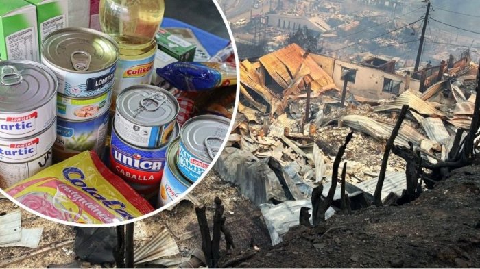 Habilitan centros de acopio por incendios forestales en las regiones de Ñuble y Biobío