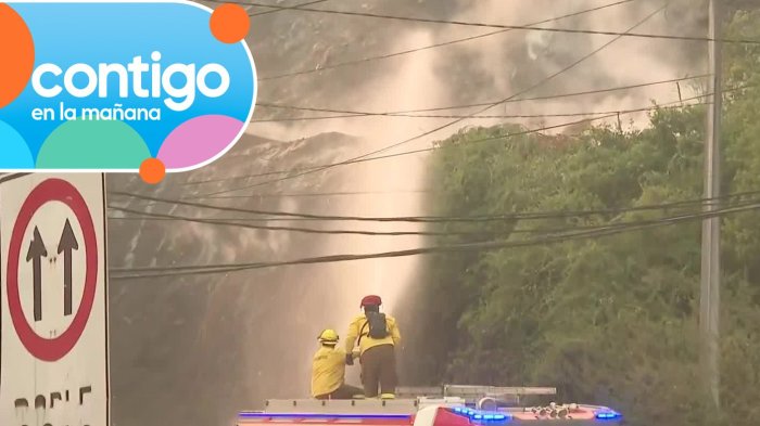 Alerta en Tomé: Registran reactivación de foco de incendio forestal en zona afectada