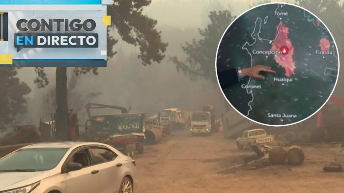 “El viento...”: Eduardo Sáez advirtió cambio meteorológico que evitaría mayor propagación de incendios en Concepción