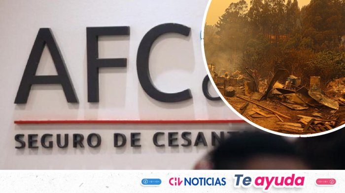 Aumentan beneficios y reducen requisitos del Seguro de Cesantía en Biobío y Ñuble por incendios