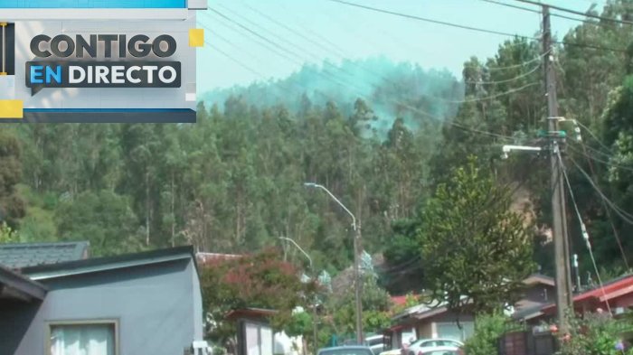 Alerta SAE en Villa Concepción: Vecinos del sector evacúan por peligro de propagación en incendio forestal