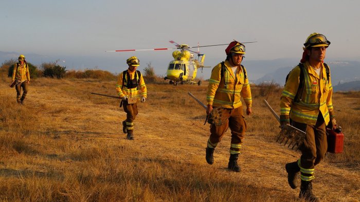Solicitan evacuar cinco nuevos sectores de Penco por incendios forestales