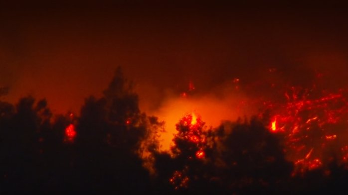 AHORA | Foco se reactiva y amenaza viviendas en zona forestal de Chaimávida