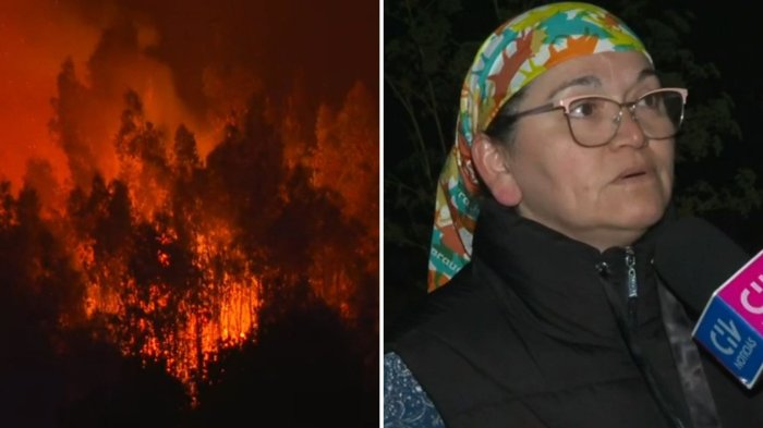 “Preocupa y asusta harto”: Así fue la tensa noche en Chaimávida por reactivación de incendio forestal