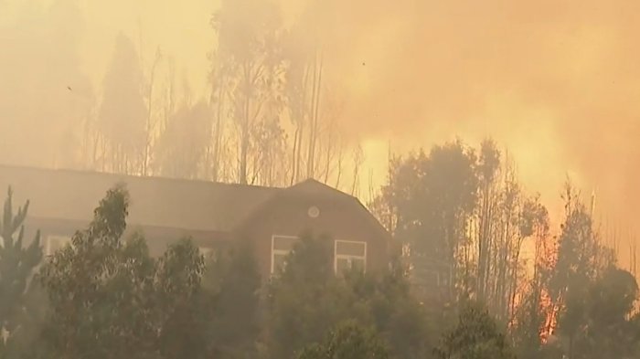 Captan incendio fuera de control a metros de casa en Concepción