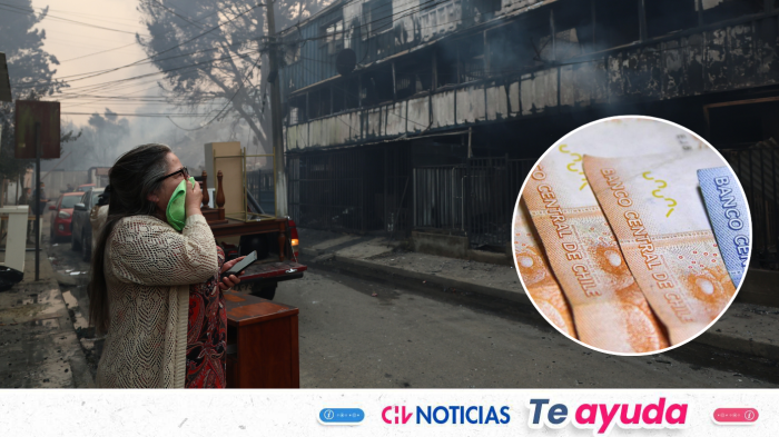 Beneficios tributarios por incendios forestales: Revisa quiénes son los beneficiarios y cómo acceder