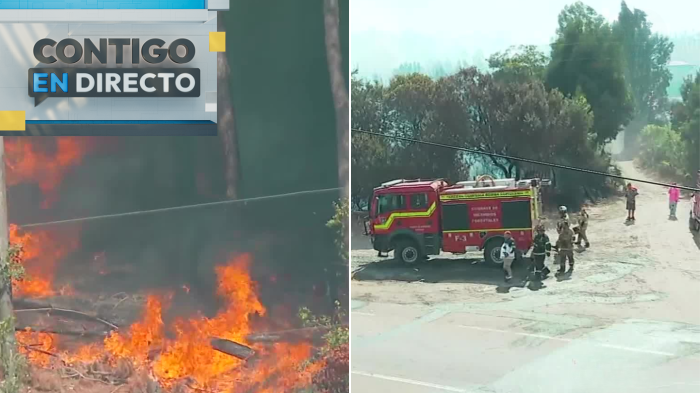 Se reactiva foco de incendio en Paredones: Llamas consumieron casas cerca de la ruta N-48