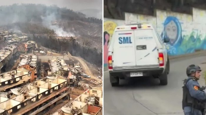 PDI comienza operativo de rastreo en Lirquén y Penco para descartar más víctimas fatales tras incendios forestales