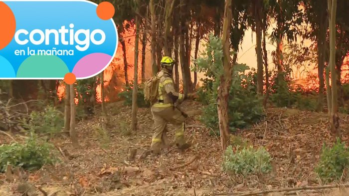 Alerta en Florida por reactivación de foco de incendio: Registran rápida propagación del fuego