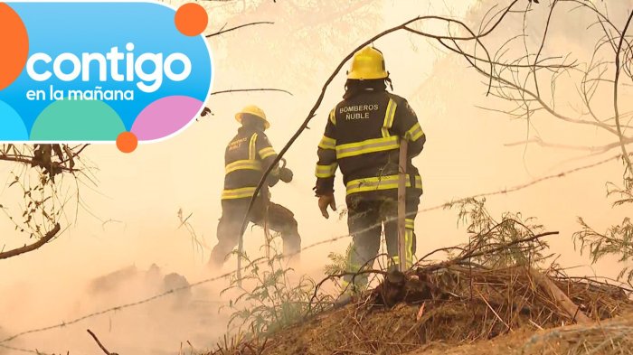 Denuncian ataque a disparos contra bomberos mientras combatían incendios forestales en Concepción