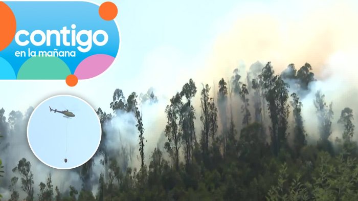 “Hay un peligro que se puedan meter…”: Vecinos de Pocollay en alerta por rápido avance del fuego