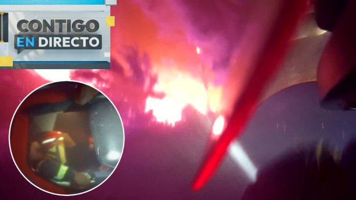 “¡Salgan de ahí!”: Impactante registro de bomberos escapando de las llamas en incendio forestal en Lota