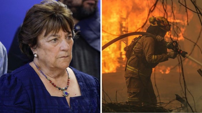 Gobierno anunció resguardo militar para bomberos tras denuncia de disparos en Concepción