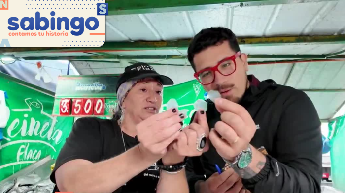 Bárbara Tapia, “La flaca reineta” de Caleta Portales | Los Reyes Guachacas | Sabingo