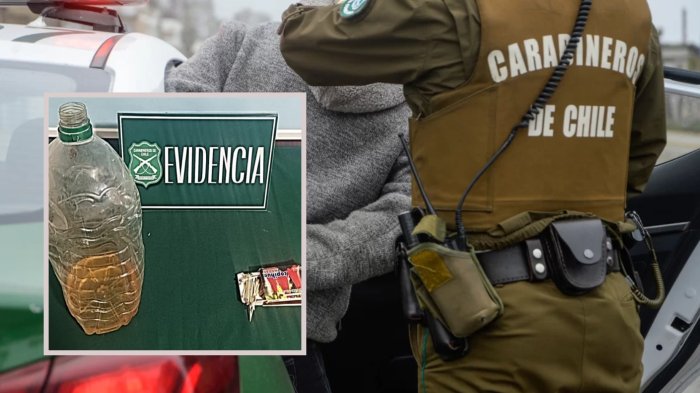 Portaba acelerante y fósforos: Hombre es detenido y acusado de provocar incendio forestal en La Araucanía