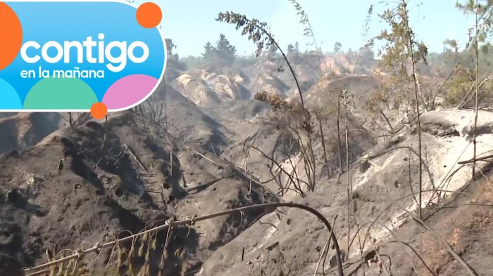 Quebradas y terreno inestable: Las dificultades que enfrentan bomberos para combatir incendio en Florida