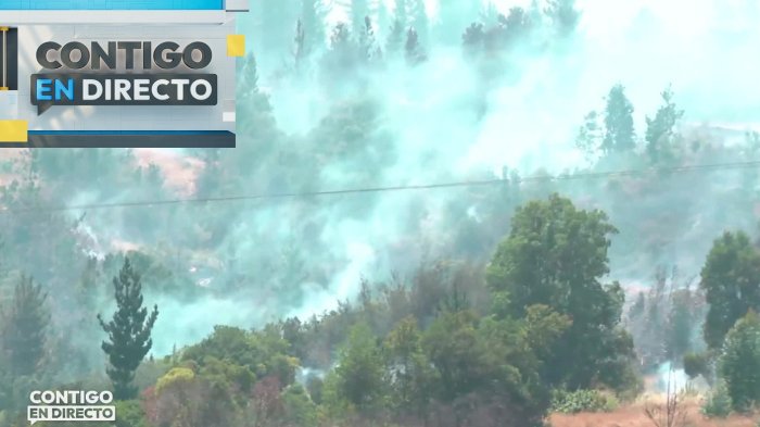 Incendio no da tregua: Registran peligroso rebrote y avance de focos en la comuna de Florida