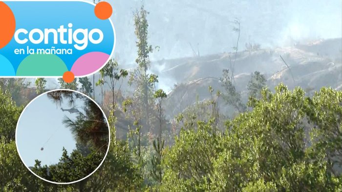 Alerta en Quillón: Reactivación de focos de incendio amenaza viviendas del sector de Queime