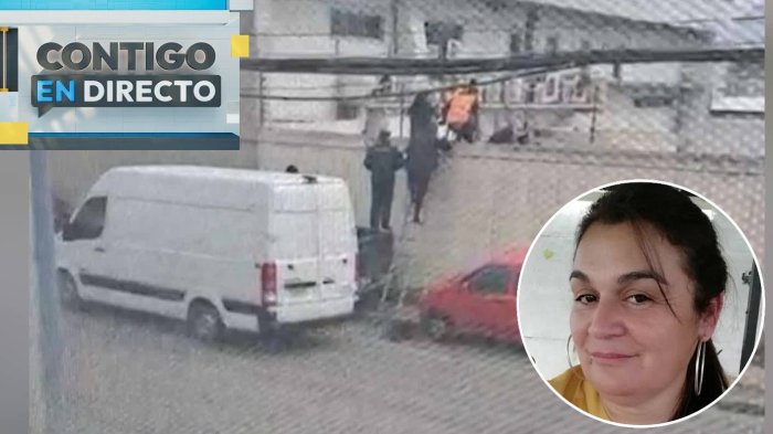 Sería la líder y tendría otro robo fallido: Los detalles de la formalización contra excarabinera por robo a Brinks