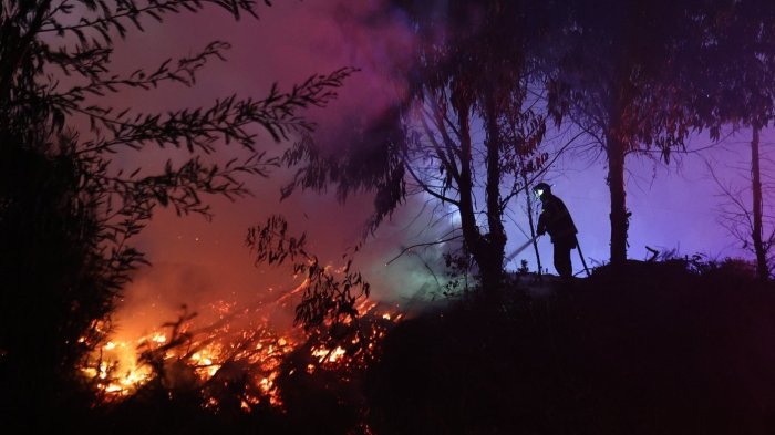 Cocina a leña y antecedentes policiales: Quién es el detenido por iniciar incendio en región del Biobío