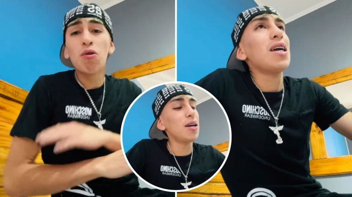 “Arrancó con todas las cosas”: Artista urbano denunció robo a camión con ayuda para víctimas de los incendios forestales