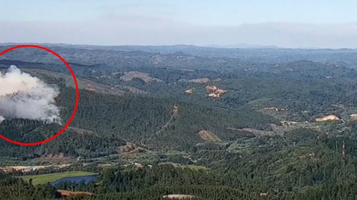 VIDEO | Captan momento exacto en que inició uno de los grandes focos del incendio en región del Biobío