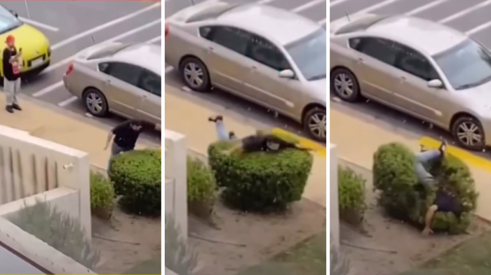 ¿Todo por un video? Hombre es captado grabándose mientras daña arbustos en Concón