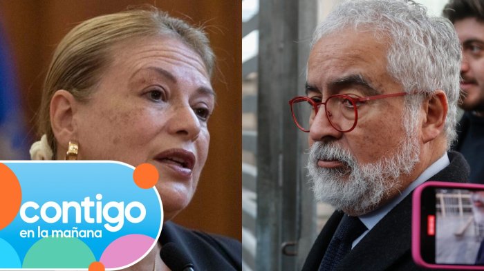 “Gracias por las gestiones”: La conversación con Hermosilla que hizo caer a la exministra Ángela Vivanco