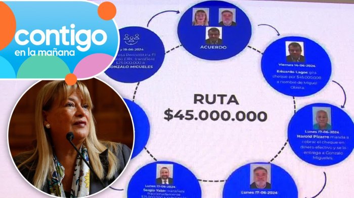 Apunta a Ángela Vivanco: Así funcionaría la operación de ocultamiento para blanquear dinero