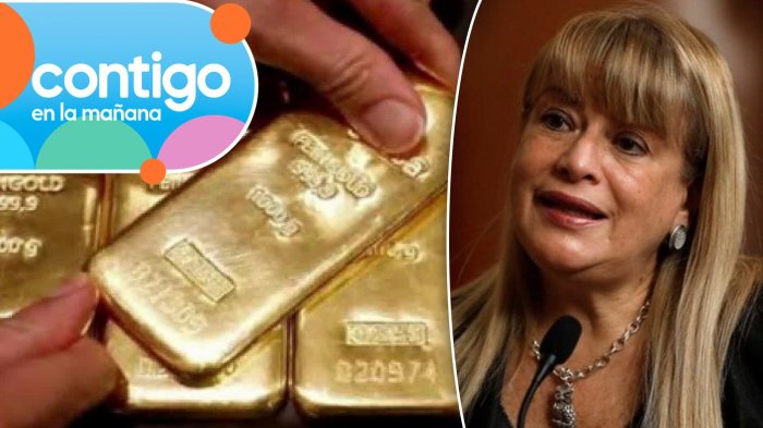 Caso Muñeca Bielorrusa: Los lingotes de oro que involucrarían a exministra Ángela Vivanco