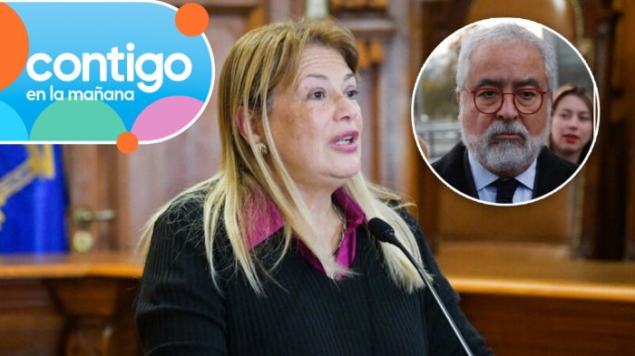 “Sugirió la idea…”: Acusan a exjueza Vivanco de crear estrategia para destruir chats de Hermosilla