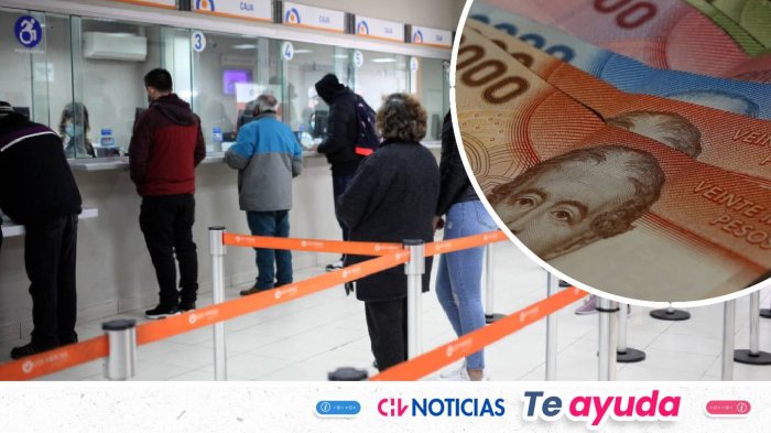Recibe hasta $224 mil mensuales: Los bonos y beneficios a los que puedes postular en 2026