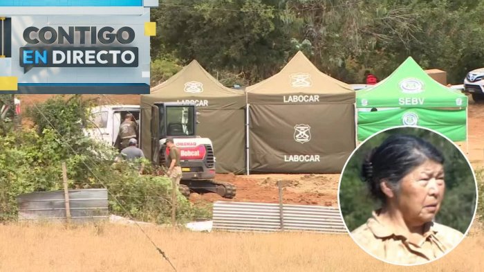 Por hallazgo biológico: Demuelen casa y bodega de Julia Chuñil en medio de su búsqueda