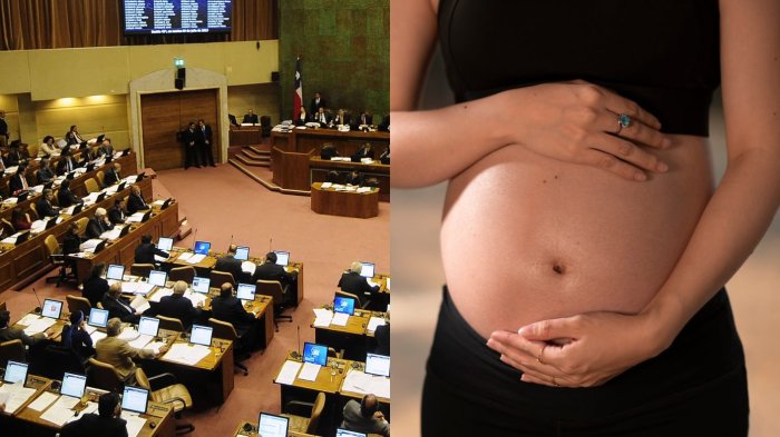 Aprueban idea de legislar proyecto que prohíbe y sanciona la maternidad subrogada