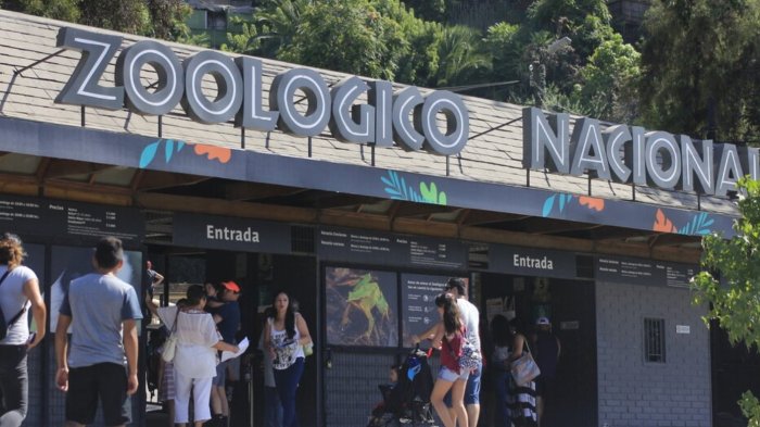 Paso a paso: Así puedes canjear las entradas gratis del Zoológico Nacional del Parquemet