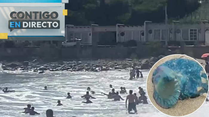 Prohíben el baño en playas del litoral por fragata portuguesa: Seremi de Salud aplicará sanciones