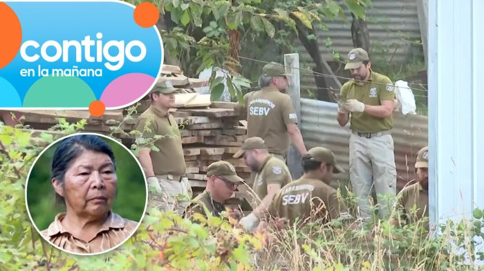 Insectos serían claves en la búsqueda de Julia Chuñil: Entomólogo forense investiga posible evidencia