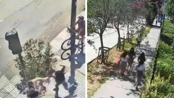 VIDEO | Detienen a 8 personas por robo estilo “jauría” en La Reina: Eran mujeres y menores de edad