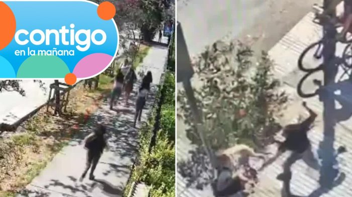 Registran modus operandi de jauría en La Reina: Grupo de mujeres atacaba a transeúntes fuera del Metro