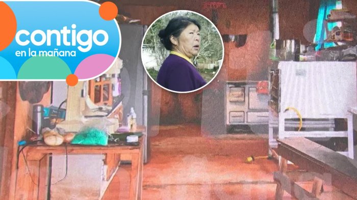 Imágenes exclusivas | Así es el interior de la casa de Julia Chuñil donde se centra la búsqueda